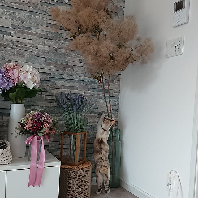 kohakuさんの実例写真