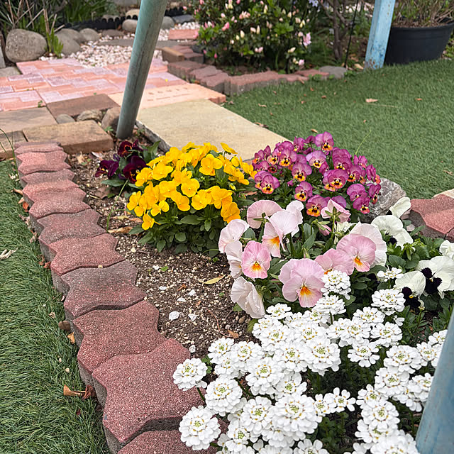 ronronさんの部屋