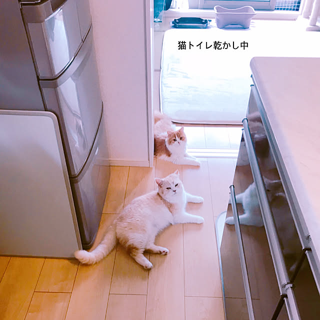 H.Tさんの実例写真