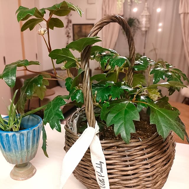 Yoko622さんの実例写真