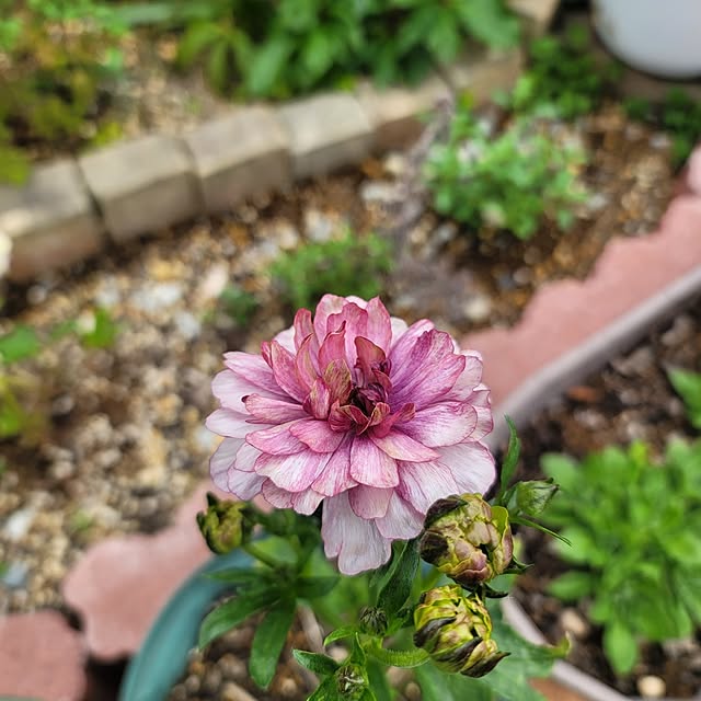 VIORAさんの部屋