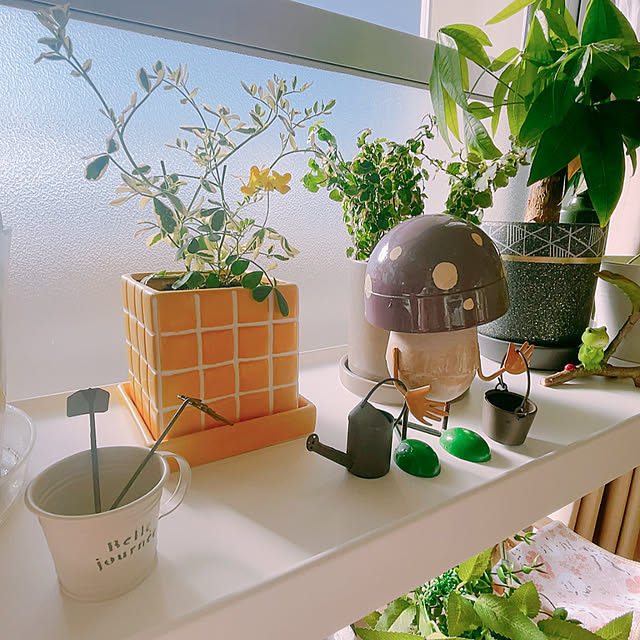 Hazukiさんの部屋