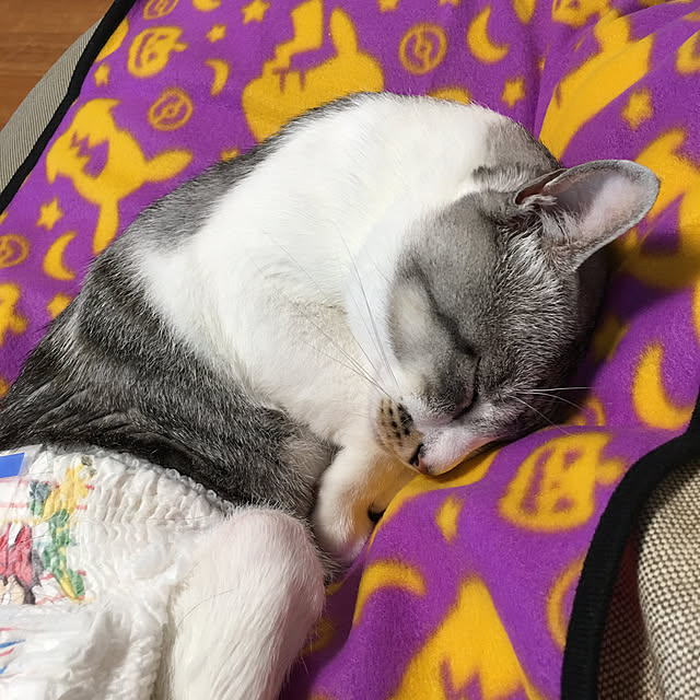 ALPSさんの実例写真