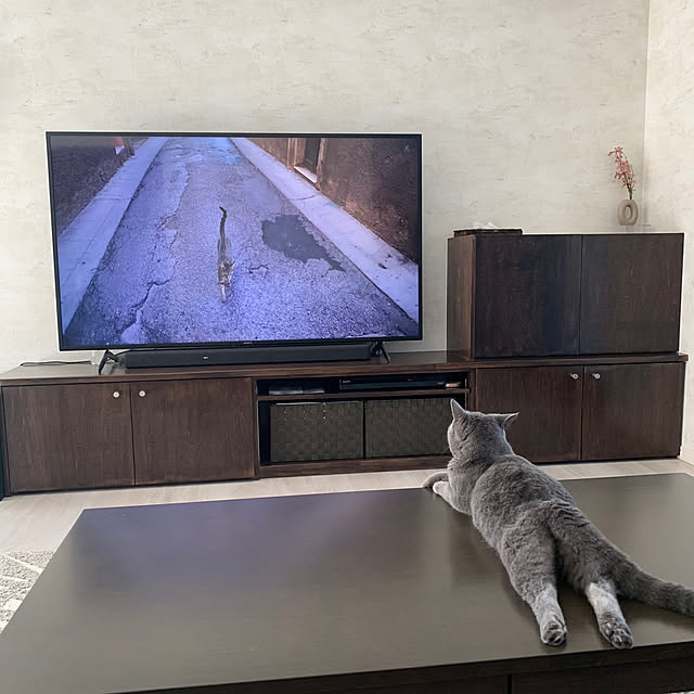 bastetさんの実例写真