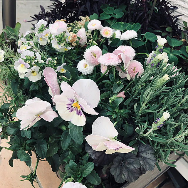 leepo5さんの部屋