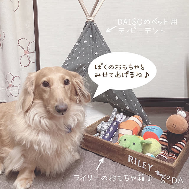 -Riley-mama.-さんの実例写真