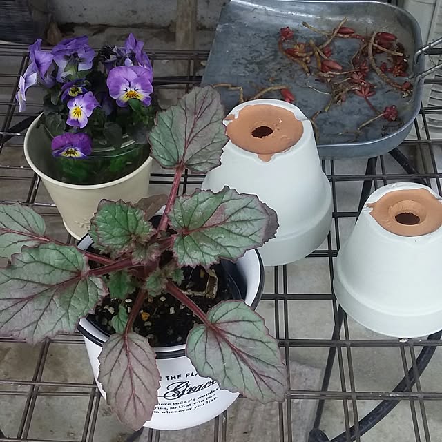 yukkoさんの実例写真