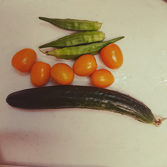 yukimamaさんの実例写真