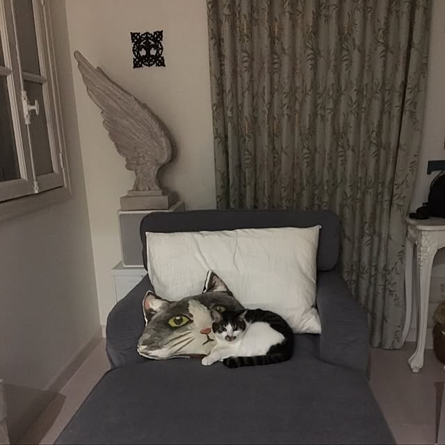 yuchiさんの実例写真