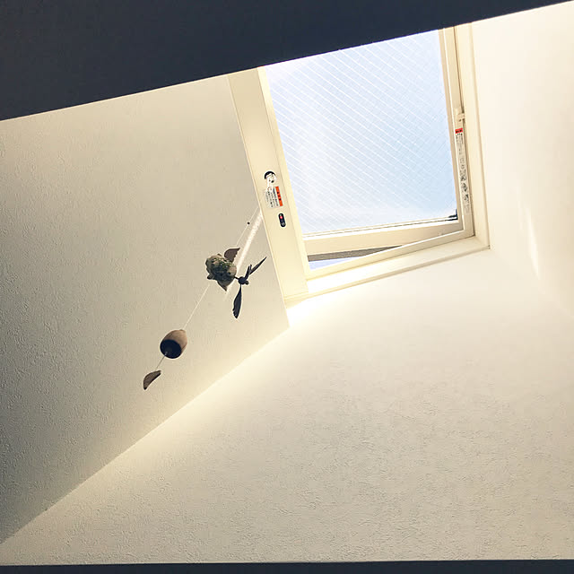 momongaさんの実例写真