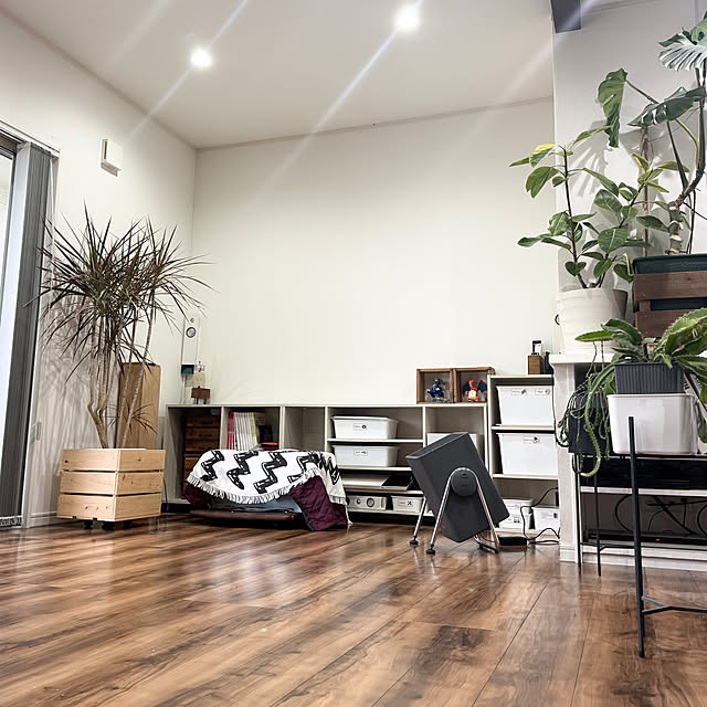 shiratamaさんの実例写真