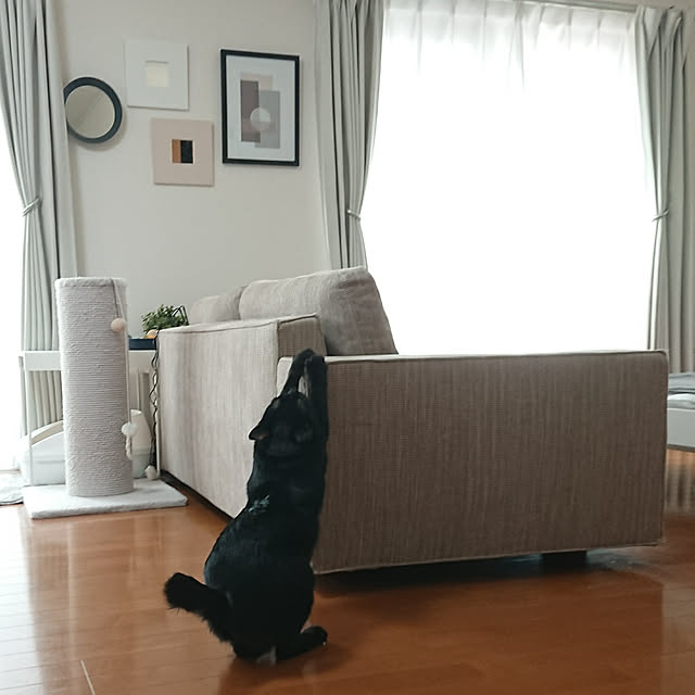 maikyさんの実例写真