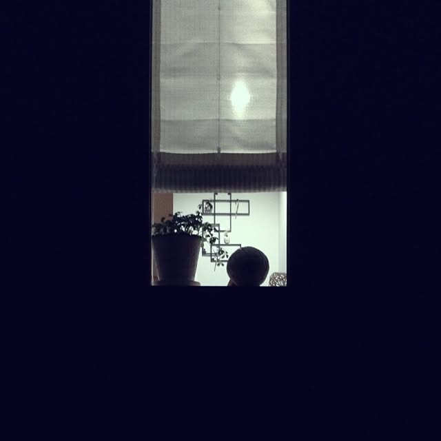 Kenroさんの実例写真