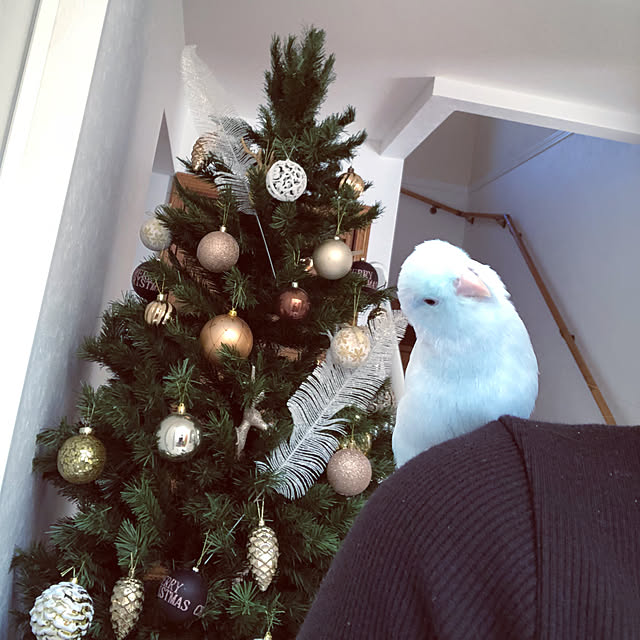 linaさんの実例写真