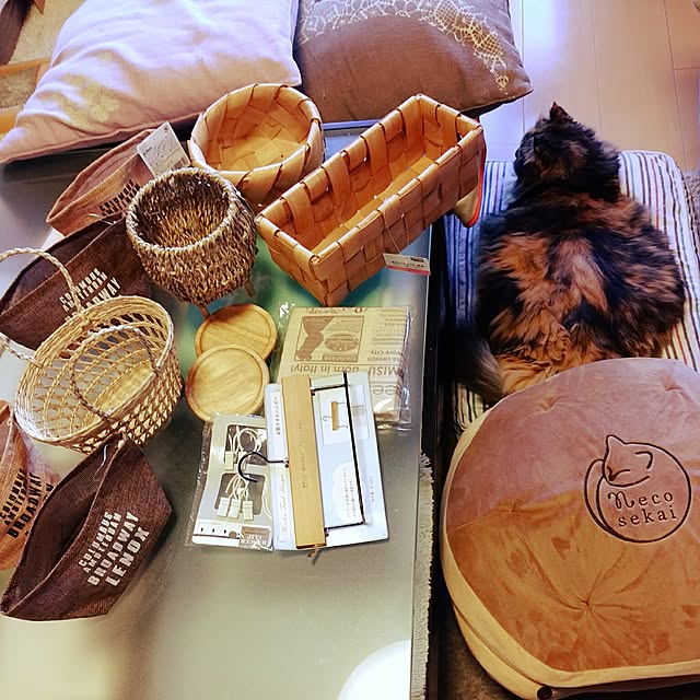 6catsさんの実例写真