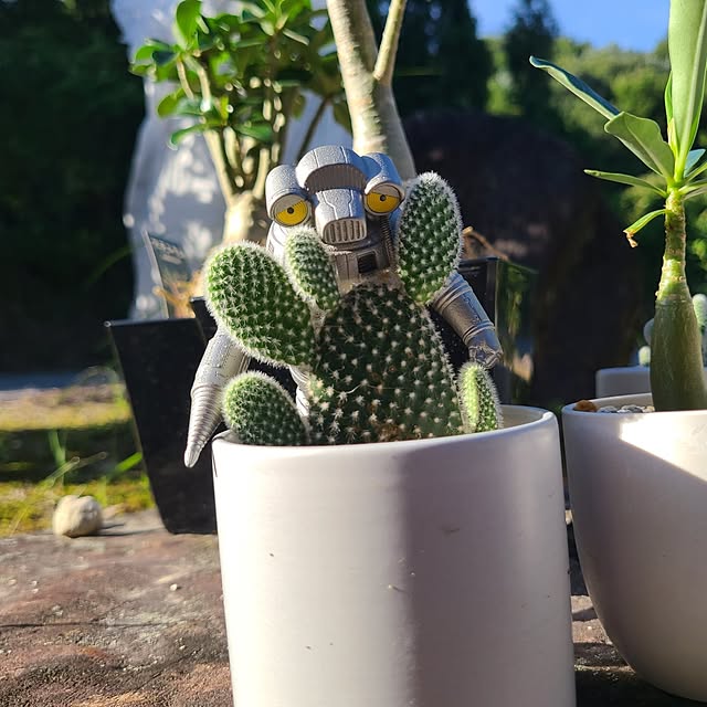 Rubiconさんの実例写真
