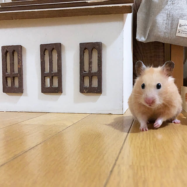 emiさんの実例写真