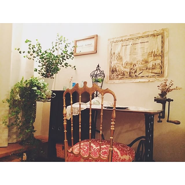 maoさんの実例写真