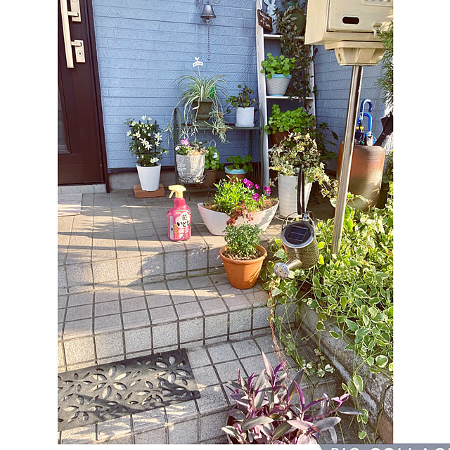 CoCo0617さんの部屋