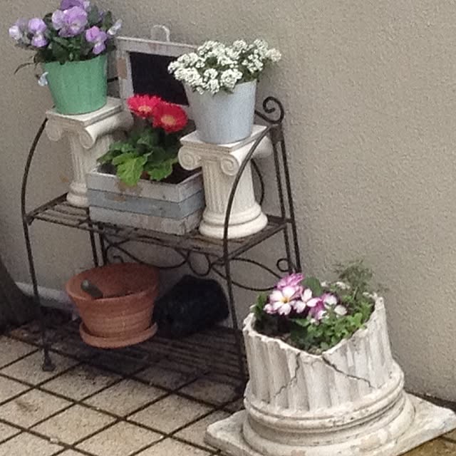 Malamaさんの部屋