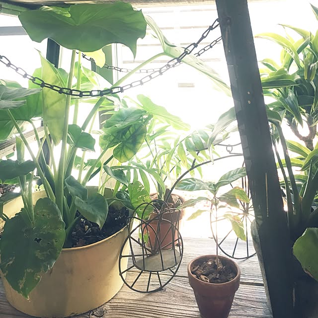 cocco0505さんの実例写真
