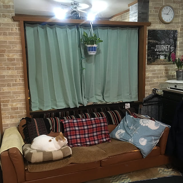 tututu0204さんの実例写真