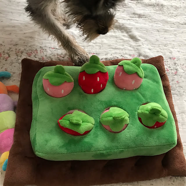 msさんの部屋