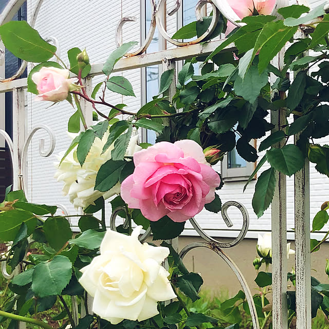 tomoさんの部屋