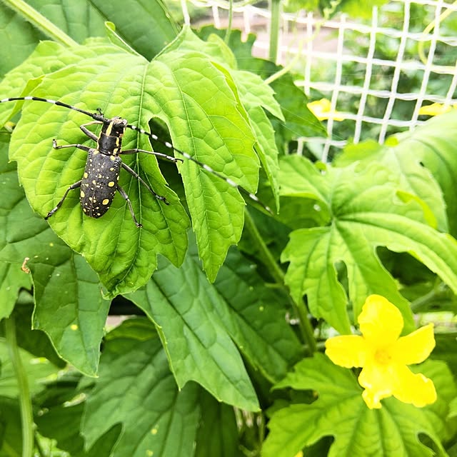 mtmtさんの部屋