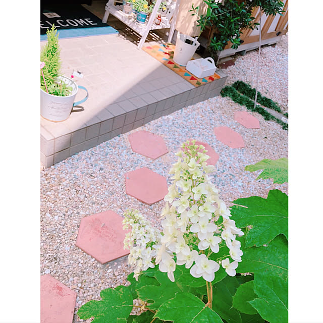 mintcatさんの実例写真