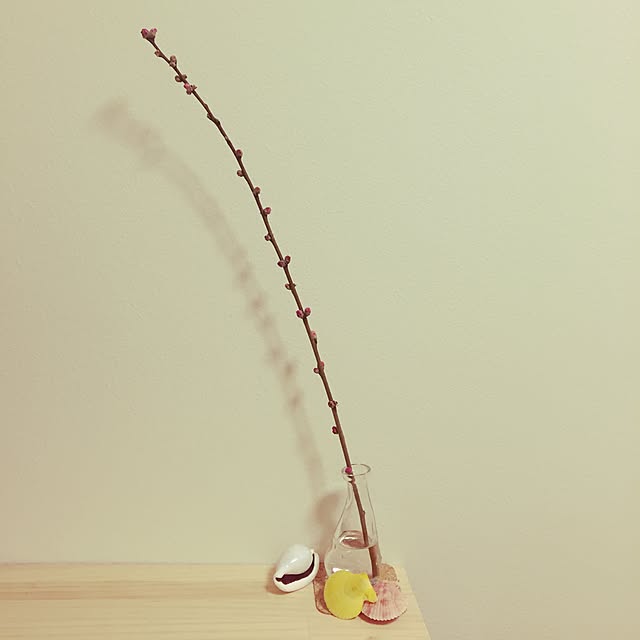 arsroさんの実例写真