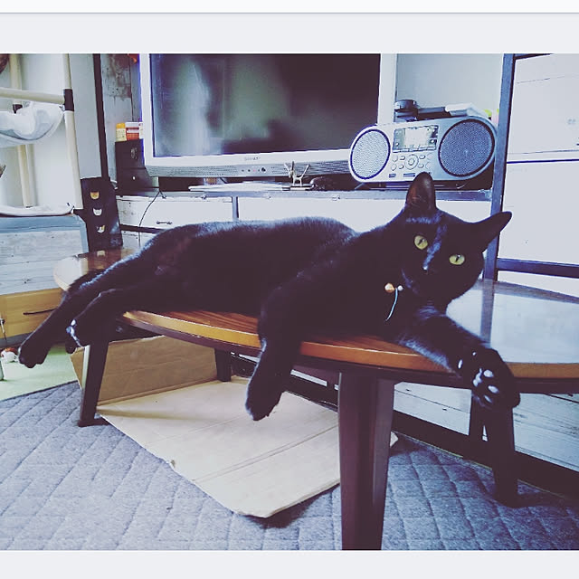 mntcさんの実例写真