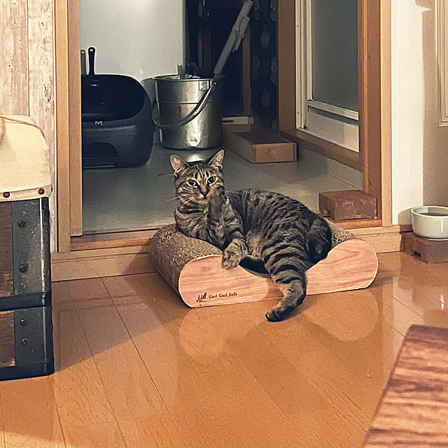 Mさんの実例写真