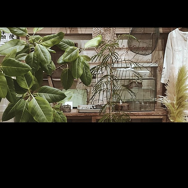 kokochiさんの実例写真