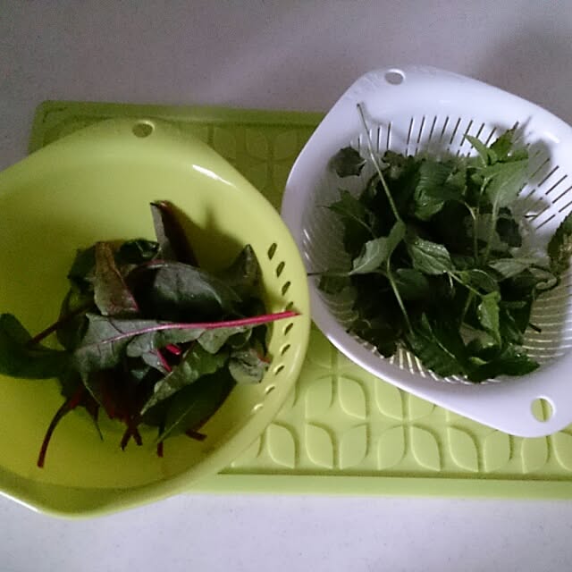 dicekbeetleさんの実例写真