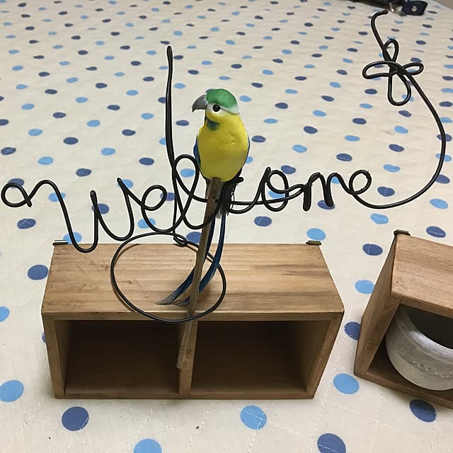 Aakitさんの実例写真