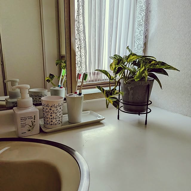 Renさんの実例写真