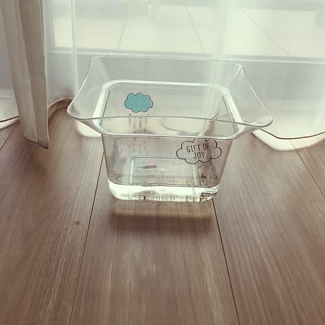 yoneさんの実例写真