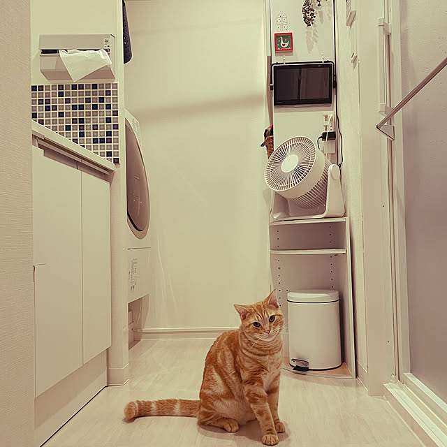 tocotoco22さんの実例写真