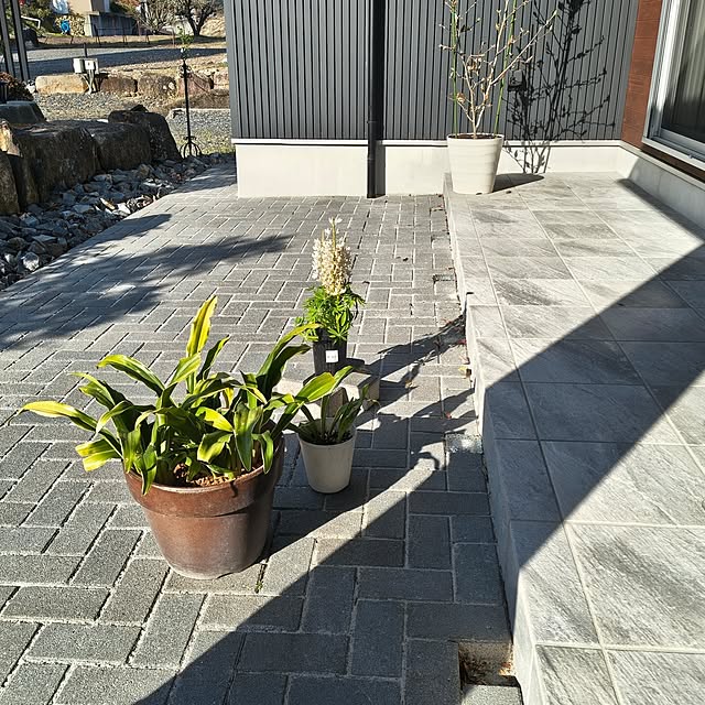 Rubiconさんの部屋