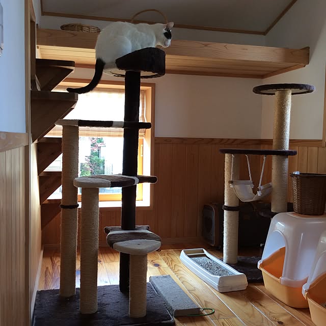 Chieさんの実例写真