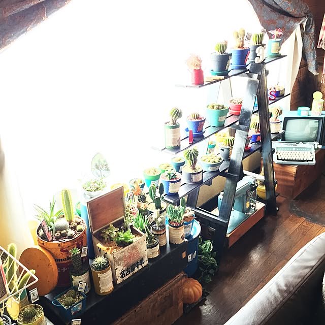 Masahideさんの実例写真