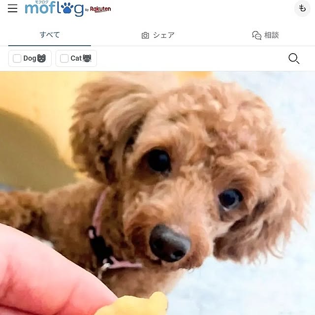 MOMOMAMAさんの実例写真