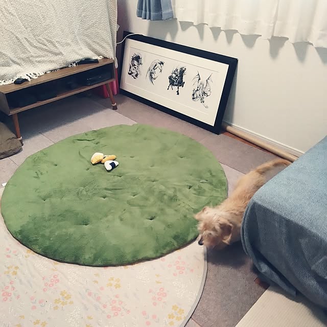 chocococoaさんの部屋