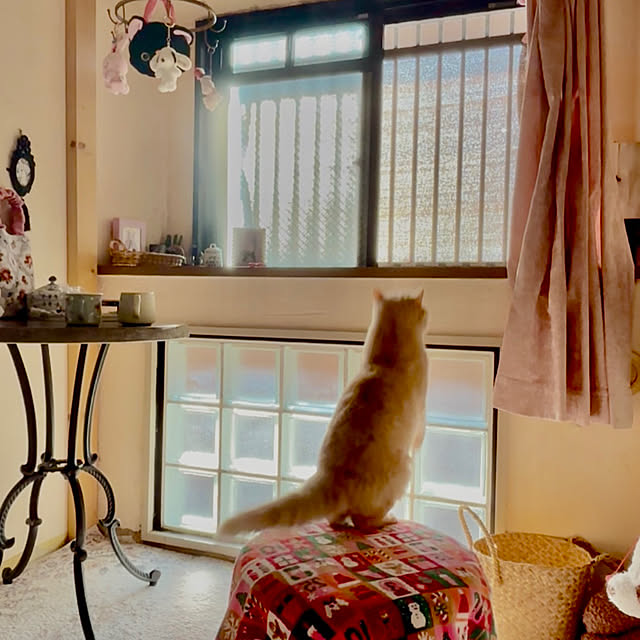 naokoさんの部屋
