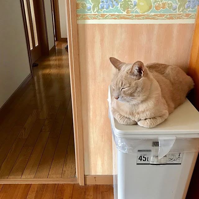 Mugiさんの実例写真