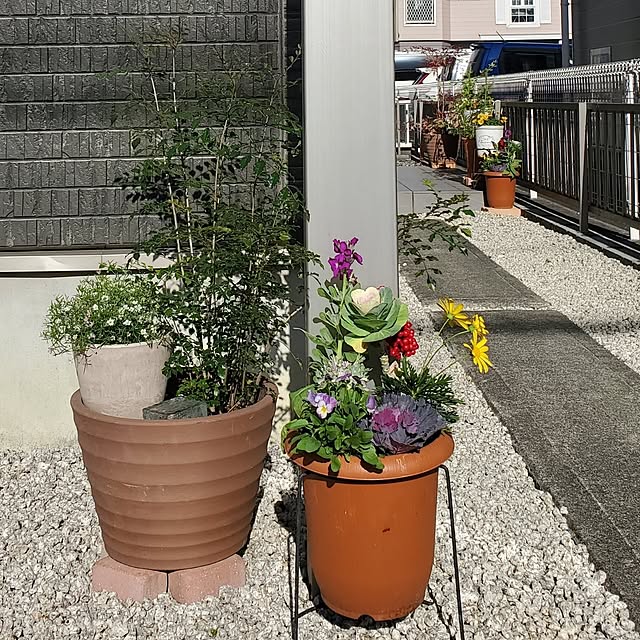 pomさんの実例写真