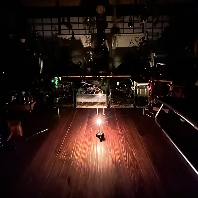 ginjiさんの実例写真
