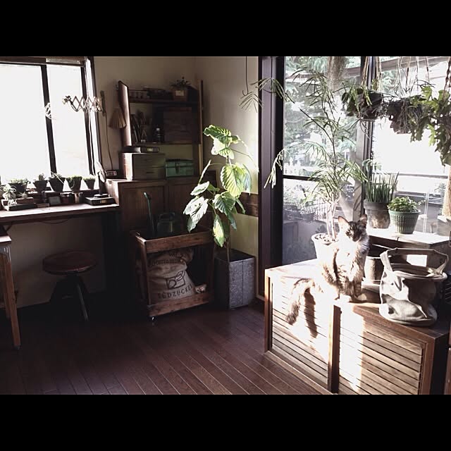 jnkaiさんの実例写真