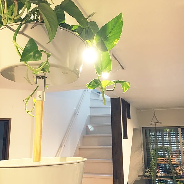 cocco0505さんの実例写真